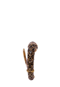 Roberto Cavalli