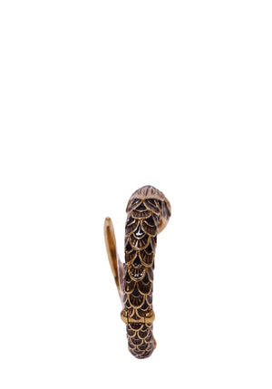 Roberto Cavalli