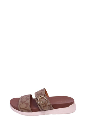Coach slide sandals featuring signature khaki and brown monogram jacquard straps, an adjustable gold-tone buckle, cushioned brown footbed