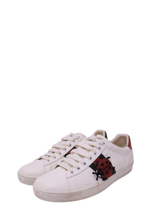 Gucci - EU 39