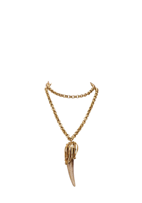 Roberto Cavalli gold-tone statement necklace featuring a rounded link chain, curved brown horn-shaped pendant, sculptural gold-tone claw setting and lobster-style clasp